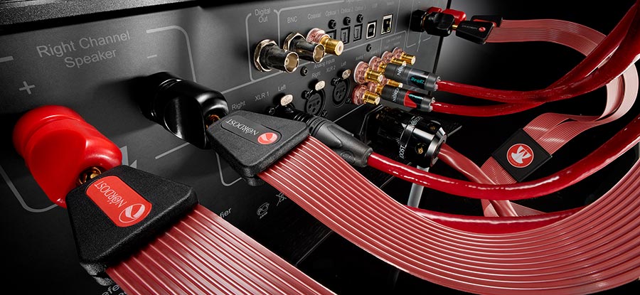 Rear panel with Red Dawn power cords and matching speaker cables connected to various ports